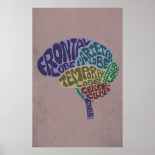 Brain Art Print Poster