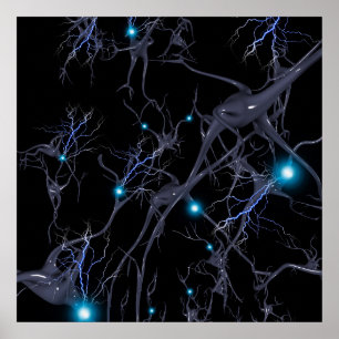 Brain cells. Neurons Poster