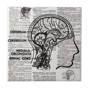 Brain Dictionary Art Tile Fliese
