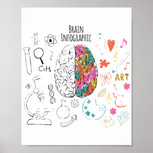 Brain Infographic Poster