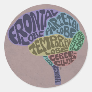 Brain Sticker