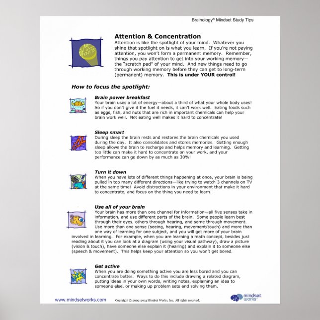 Brainology® Poster 3: Aufmerksamkeit und Konzentra (Vorne)