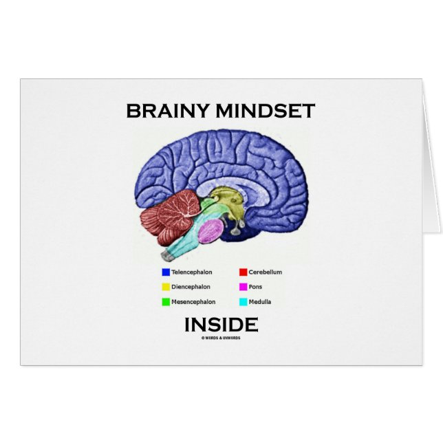 Brainy Denkrichtung-Innere (anatomisches Gehirn) (Vorderseite (Horizontal))