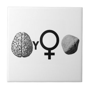 Brainy Girls Rock! Fliese