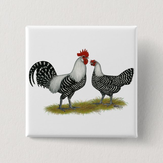 Brakel Chickens Button (Vorderseite)