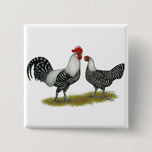 Brakel Chickens Button