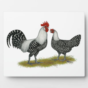 Brakel Chickens Fotoplatte