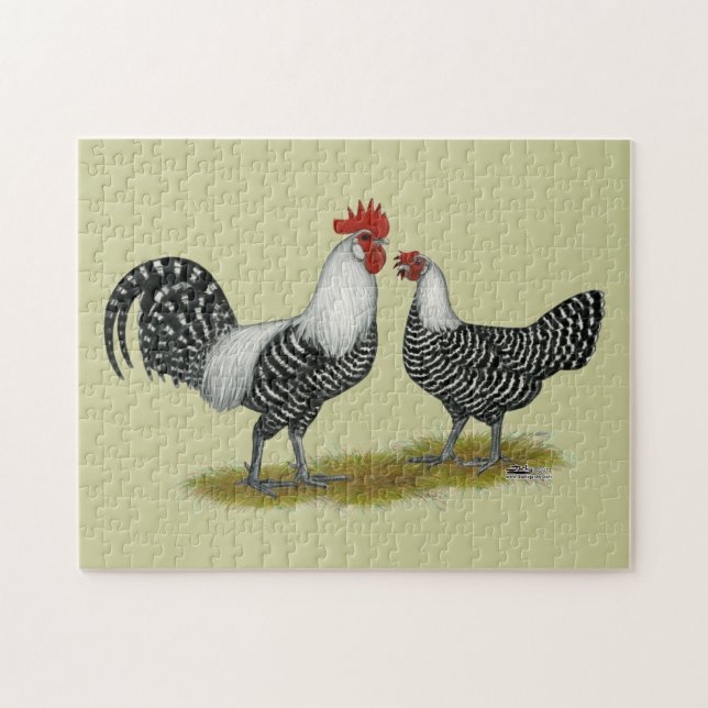 Brakel Chickens Puzzle (Horizontal)