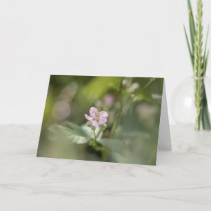 Bramble Berry Blume Nature Foto Karte