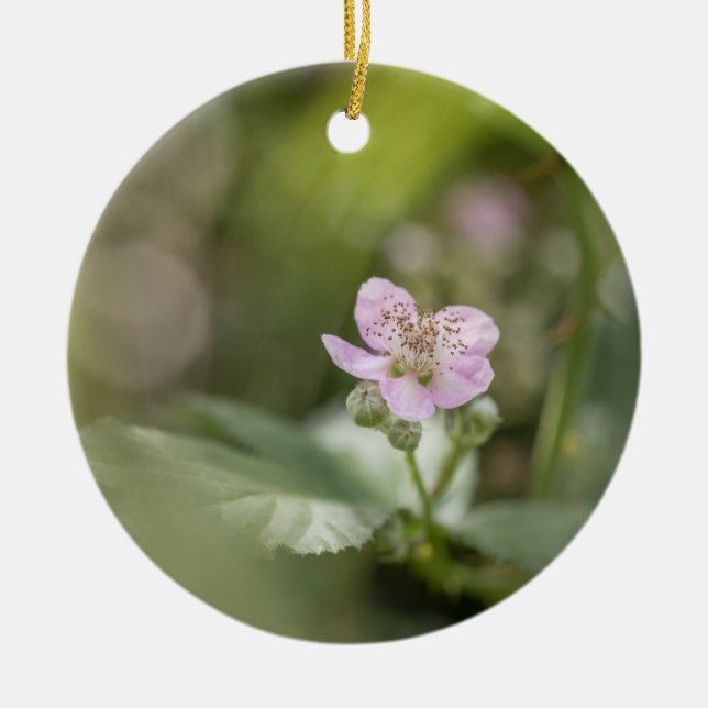 Bramble Blossom Nature Foto Keramik Ornament (Vorne)