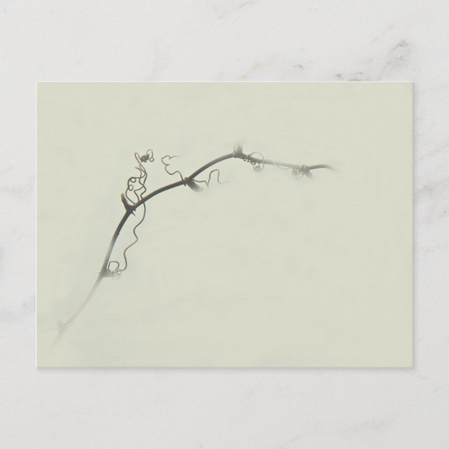 Bramble Tendrils im Nebel - Minimalismus Postkarte (Vorderseite)