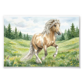 Brana Pinto Palomino Icelandic Watercolor Fotodruck