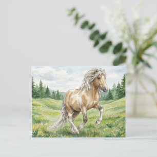 Brana Pinto Palomino Isländische Aquarellmalerei Postkarte