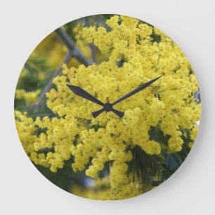 Branch of mimosa große wanduhr