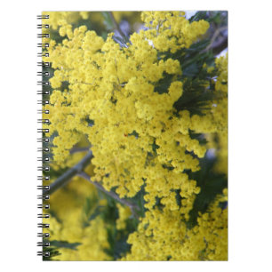 Branch of mimosa notizblock
