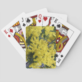 Branch of mimosa spielkarten