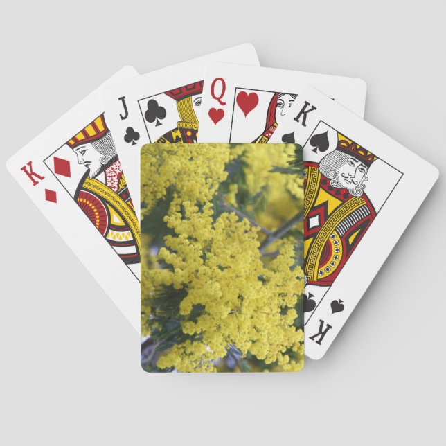 Branch of mimosa spielkarten (Rückseite)