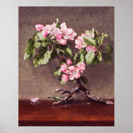 Branch Poster