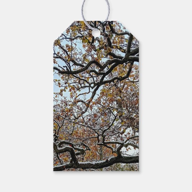 Branchen mit orangefarbenen Blätter und Schnee Geschenkanhänger (Vorderseite)