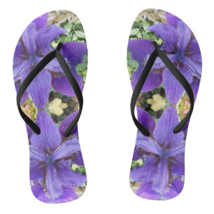 Brandeis Flip Flops