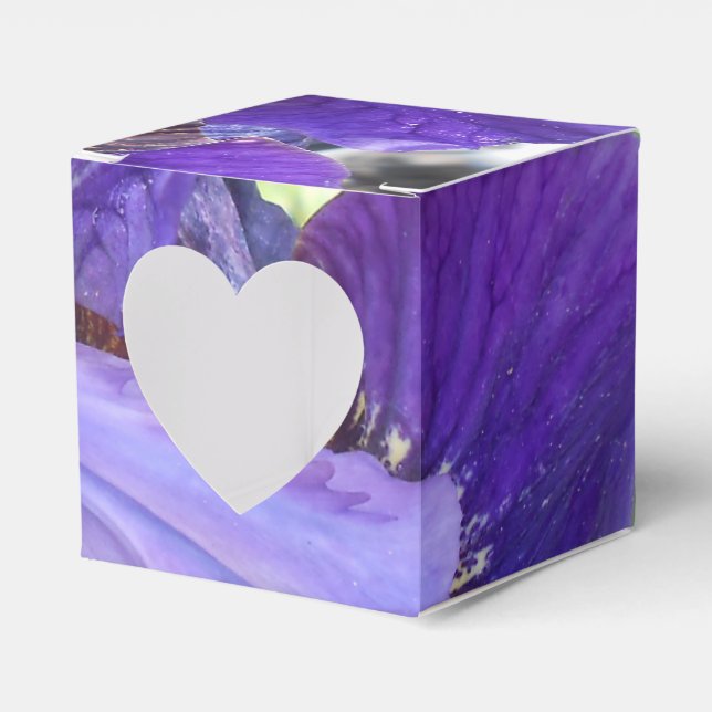 Brandeis Geschenkschachtel (Vorderseite)