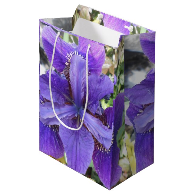 Brandeis Mittlere Geschenktüte (Vorderseite Schrägansicht)