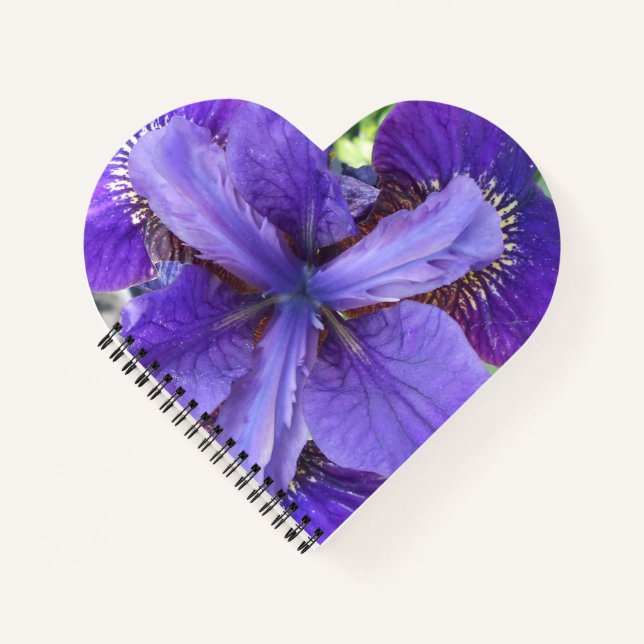 Brandeis Notizbuch (Vorderseite)