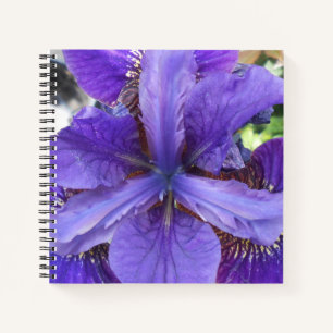 Brandeis Notizbuch