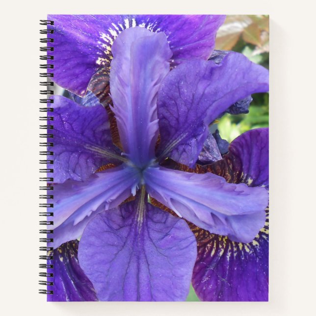 Brandeis Notizbuch (Vorderseite)