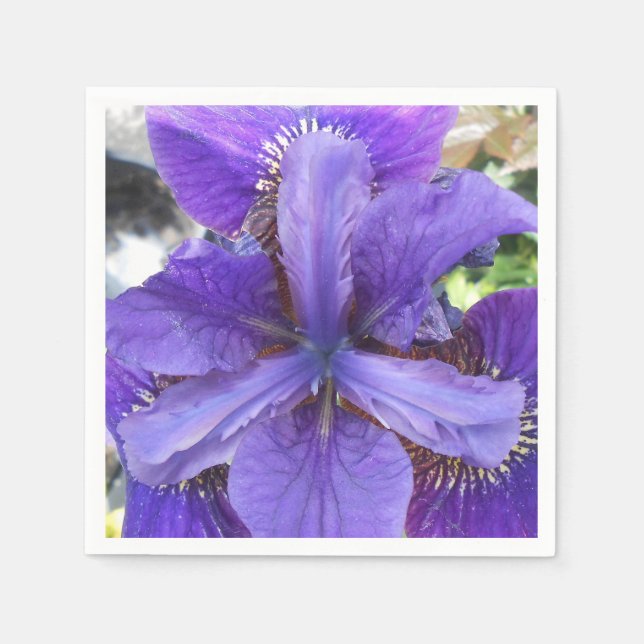 Brandeis Serviette (Vorderseite)