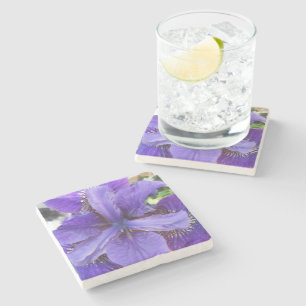 Brandeis Steinuntersetzer