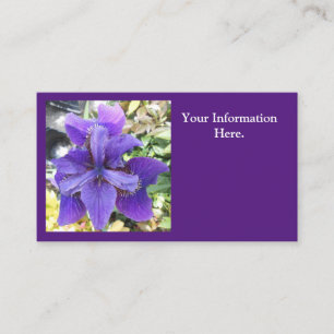 Brandeis Visitenkarte