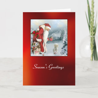 Brandi zu Weihnachten