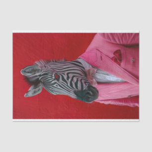 Brandon Seidenpapier