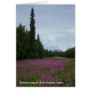 Brandweh entlang der Parks Highway, Alaska