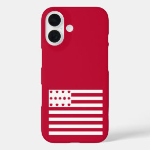 Brandywine-Flagge iPhone 16 Hülle