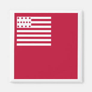 Brandywine-Flagge Magnet