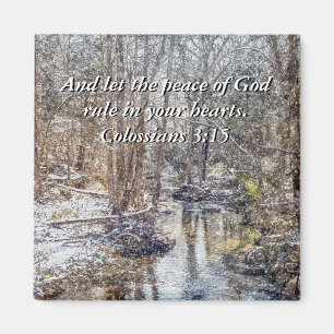 Branson Fall Creek Winter Snow Painterly Magnet