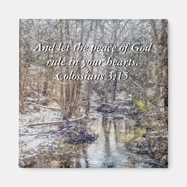 Branson Fall Creek Winter Snow Painterly Magnet (Vorne)