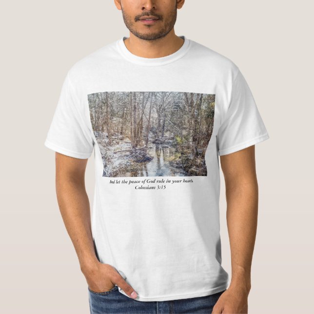 Branson Fall Creek Winter Snow Painterly T-Shirt (Vorderseite)