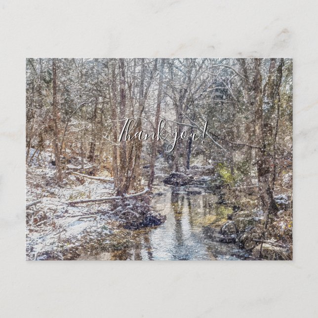 Branson Fall Creek Winterschnee Herzlichen Dank Postkarte (Vorderseite)