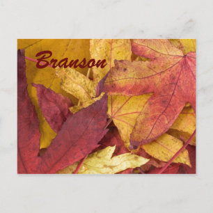 Branson Missouri Autumn Leaves Postcard Postkarte