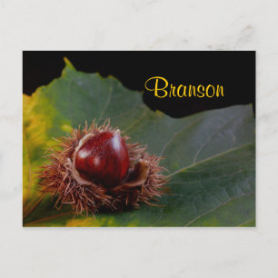 Branson Missouri, Herbstleaf mit Nut Postcard Postkarte