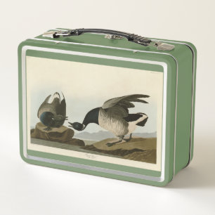 Brant Gänse (Brant) von Audubon Birds of America Metall Brotdose