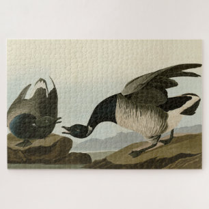 Brant Gänse (Brant) von Audubon Birds of America Puzzle