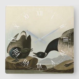 Brant Gänse (Brant) von Audubon Birds of America Quadratische Wanduhr