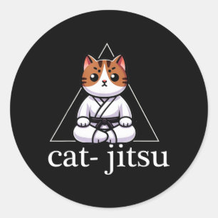 Brasilian Jiu Jitsu BJJ für Männer Vater Junge Fra Runder Aufkleber