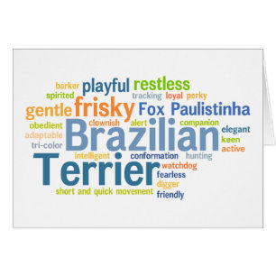 Brasilianer Terrier