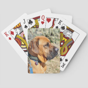 Brasilianische Mastiff Playing Cards Spielkarten
