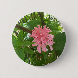 Brasilianische Plume-Blume Button